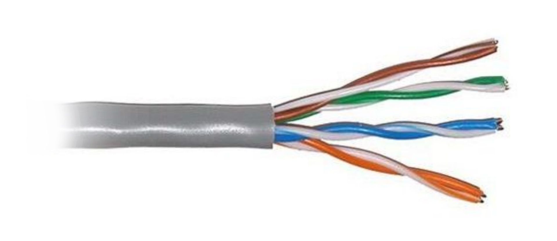 Cable RJ45 50cm Info 2