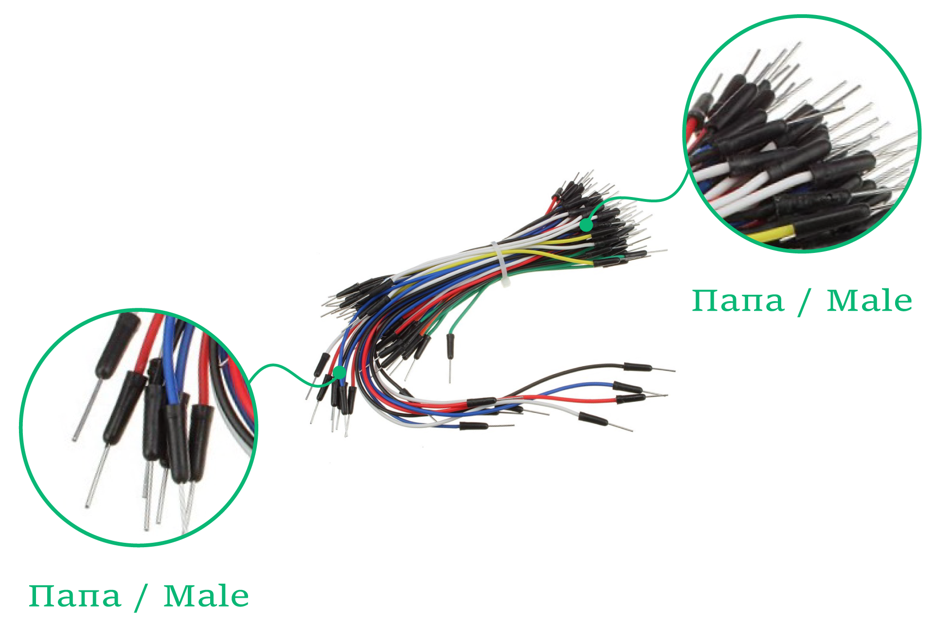 Wires Jump Male-Male 65pcs Info 3