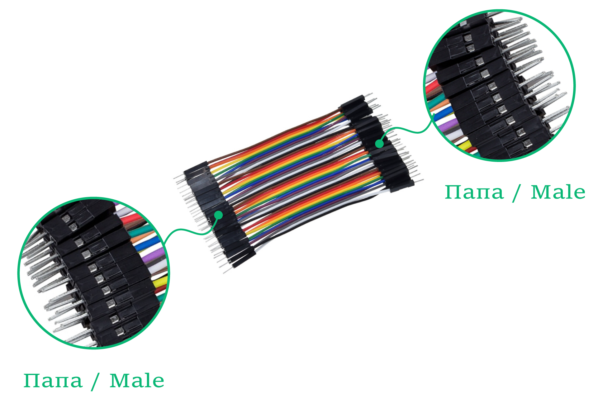 Wires Jump Male-Male 40pcs 10cm Info 3